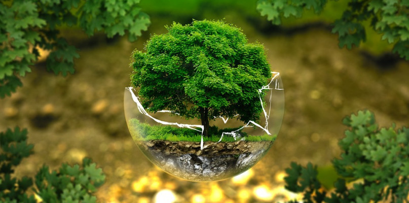 pixabay