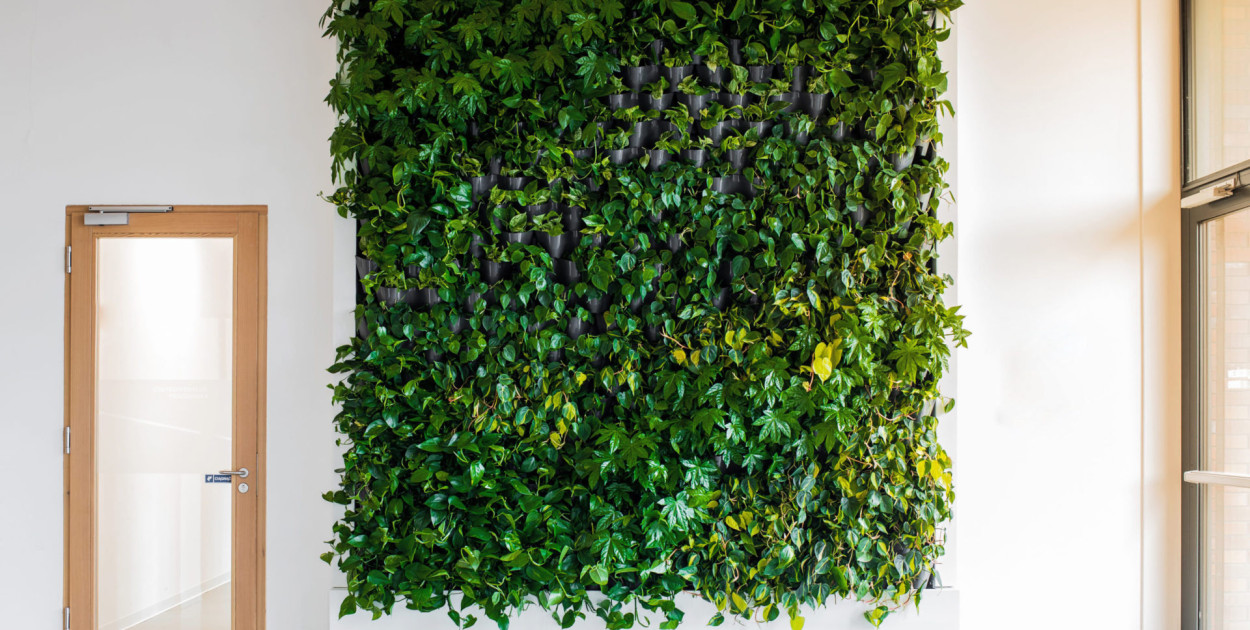 Smart Green czyli firma która doda charakteru dla Twoich aranżacji