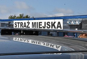 Kombinujesz z piecem? Zapuka strażnik i możesz zapłacić 5 tys. zł kary-78076