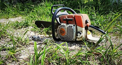 Pilarki i sekatory Stihl - czym się charakteryzują?-78127