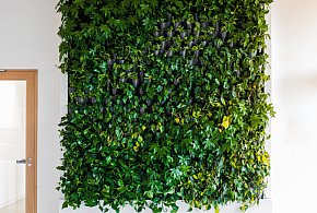Smart Green czyli firma która doda charakteru dla Twoic - 78507