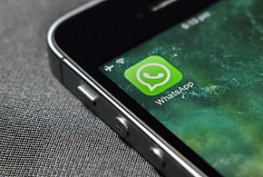 WhatsApp się zmienia. Czy aplikacja będzie płatna?-78865