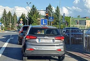 Egzamin na prawo jazdy będzie inny. Od 1 lipca nowe zasady-78890