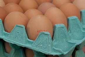 Salmonella na jajach znanej marki. Nie jedz, jeśli masz je w lodówce!-78933