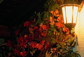 Oświetlenia elewacji LED, na co zwrócić uwagę? - 79307