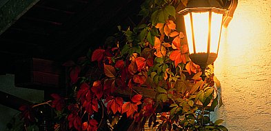 Oświetlenia elewacji LED, na co zwrócić uwagę?-79307