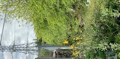 Słup energetyczny na działce? Warto powalczyć o swoje prawa. Przewodnik