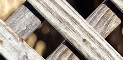 Ponadczasowe rzemiosło w budownictwie – dlaczego naturalne materiały wykończeniowe