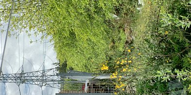 Słup energetyczny na działce? Warto powalczyć o swoje prawa. Przewodnik