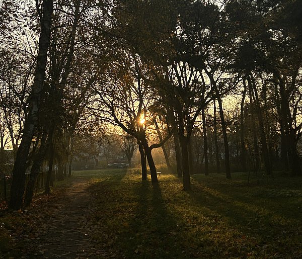 Nadchodzi najkrótszy dzień w 2025 roku. Sprawdź, kiedy przypadnie-79848