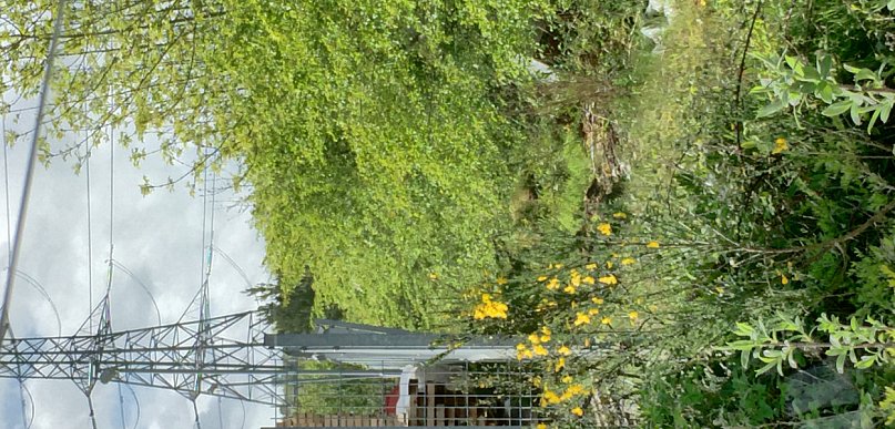 Słup energetyczny na działce? Warto powalczyć o swoje prawa. Przewodnik