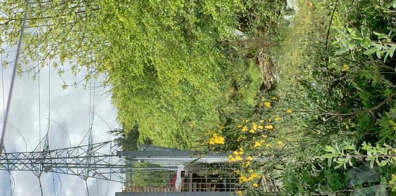 Słup energetyczny na działce? Warto powalczyć o swoje prawa. Przewodnik