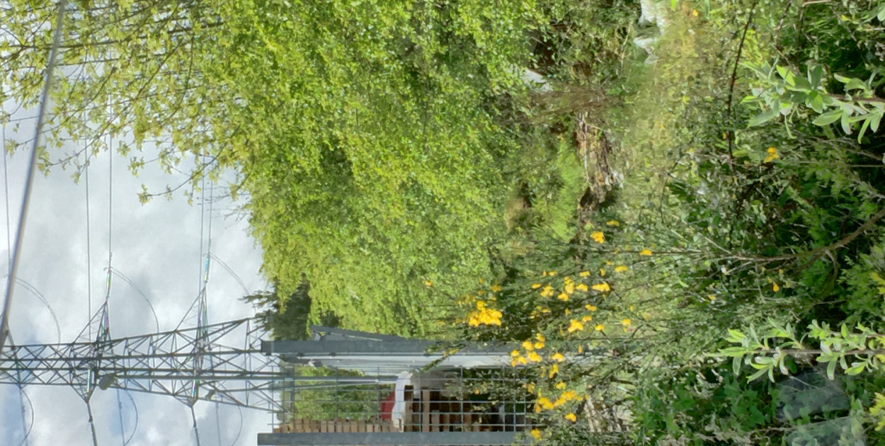 Słup energetyczny na działce? Warto powalczyć o swoje prawa. Przewodnik